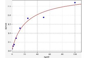 CD8 alpha ELISA Kit