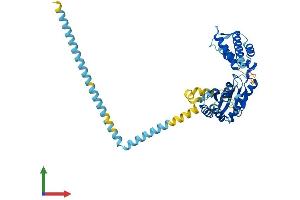 AlphaFold protein structure predicition of Human Recombinant ATAD3C Protein, UniprotID Q5T2N8 (ATAD3C Protein (AA 1-411) (His tag))