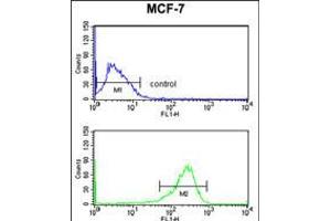 Flow cytometry analysis of MCF-7 cells (bottom histogram) compared to a negative control cell (top histogram). (SELT antibody  (N-Term))