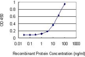 Detection limit for recombinant GST tagged CHODL is 0. (CHODL antibody  (AA 23-94))