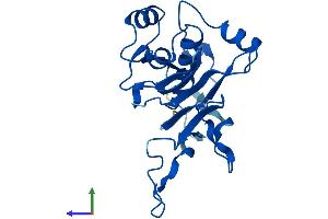 AlphaFold protein structure predicition of Human Recombinant GGTLC1 Protein, UniprotID Q9BX51 (GGTLC1 Protein (AA 1-225) (His tag))
