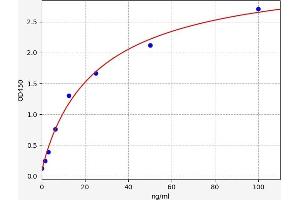 Typical standard curve (REG3g ELISA Kit)