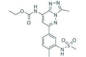 / (Bromosporine)