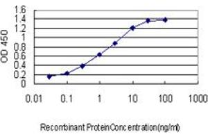 Detection limit for recombinant GST tagged EBF3 is approximately 0. (EBF3 antibody  (AA 381-480))