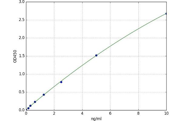 NEK2 ELISA Kit