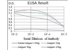 Black line: Control Antigen (100 ng), Purple line: Antigen(10 ng), Blue line: Antigen (50 ng), Red line: Antigen (100 ng), (BRCA1 antibody  (AA 229-335))