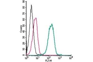 Cell surface detection of P2X7 Receptor by indirect flow cytometry in live intact human THP-1 monocytic leukemia cells: (black line) Cells. (P2RX7 antibody  (Extracellular))