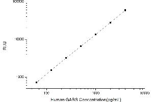 Typical standard curve (GARS CLIA Kit)