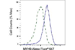 Validation of MYH9 knockdown using flow cytometry.