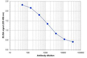 ELISA of anti-Setd1a antibody ELISA results of Rabbit anti-Setd1a antibody. (SETD1A antibody  (Internal Region, N-Term))