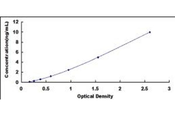 Dystrobrevin beta ELISA Kit