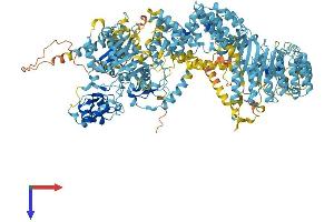 AlphaFold protein structure predicition of Mouse Recombinant Naip5 Protein, UniprotID Q9R016 (Naip5 Protein (AA 1-1403) (His tag))