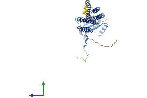 AlphaFold protein structure predicition of Human Recombinant DUOXA1 Protein, UniprotID Q1HG43