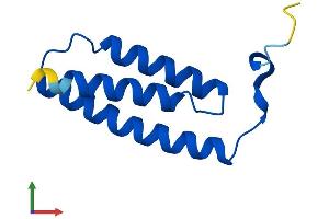 Protein Structure (PS) image for LYR Motif Containing 4 (LYRM4) (AA 1-91) protein (His tag) (ABIN7549121)