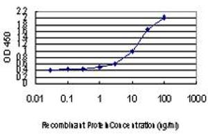 Detection limit for recombinant GST tagged DLX2 is approximately 1ng/ml as a capture antibody. (DLX2 antibody  (AA 1-110))