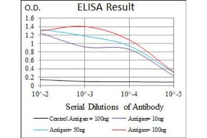 ELISA image for anti-CD6 (CD6) (AA 472-668) antibody (ABIN1846113)