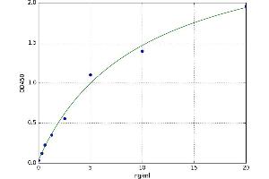 Plakophilin 1 (PKP1) ELISA Kit