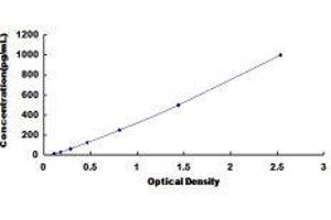 Chemokine (C-C Motif) Ligand 12 (Ccl12) ELISA Kit