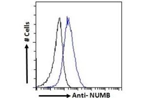 Flow Cytometry (FACS) image for anti-Numb Homolog (NUMB) (C-Term) antibody (ABIN184679)