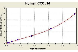 Diagramm of the ELISA kit to detect Human CXCL16with the optical density on the x-axis and the concentration on the y-axis.
