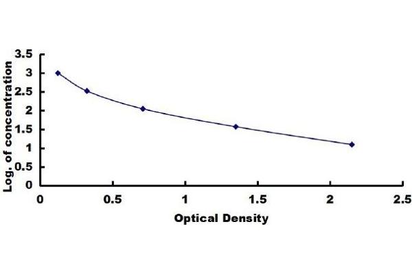 Adrenomedullin ELISA Kit