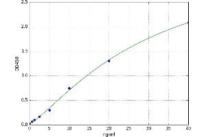 Melanoma Cell Adhesion Molecule (MCAM) ELISA Kit