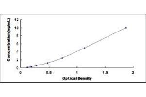 CHD4 ELISA Kit