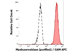 Separation of human neutrophil granulocytes (red-filled) from lymphocytes (black-dashed) in flow cytometry analysis (intracellular staining) of human peripheral whole blood stained using anti-human Myeloperoxidase (MPO421-8B2) purified antibody (concentration in sample 1 μg/mL) GAM APC. (Myeloperoxidase antibody)