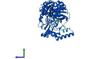 AlphaFold protein structure predicition of Human Recombinant GK5 Protein, UniprotID Q6ZS86 (GK5 Protein (AA 1-529) (His tag))