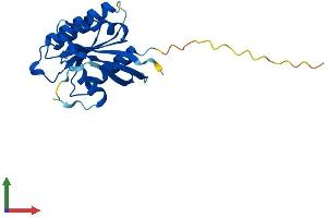Protein Structure (PS) image for NFKB Inhibitor Interacting Ras-Like 1 (NKIRAS1) (AA 1-192) protein (His tag) (ABIN7548730)
