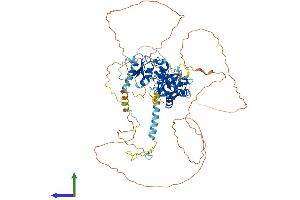 Protein Structure (PS) image for Nibrin (NBN) (AA 1-751) protein (His tag) (ABIN7565197)