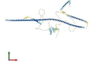 AlphaFold protein structure predicition of Human Recombinant RAB11FIP4 Protein, UniprotID Q86YS3