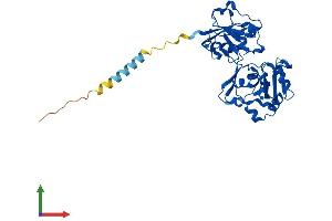 Protein Structure (PS) image for Fucosyltransferase 7 (Alpha (1,3) Fucosyltransferase) (FUT7) (AA 1-342) protein (His tag) (ABIN7547899)