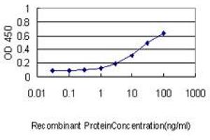 Detection limit for recombinant GST tagged CORO1B is approximately 0. (CORO1B antibody  (AA 1-489))