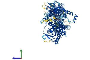 AlphaFold protein structure predicition of Mouse Recombinant Pgap1 Protein, UniprotID Q3UUQ7