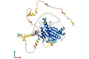 AlphaFold protein structure predicition of Mouse Recombinant Donson Protein, UniprotID Q9QXP4
