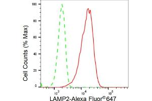 Flow cytometric analysis of LAMP2 expression in HeLa cells using LAMP2 antibody (ABIN7799310), 1:2,000).