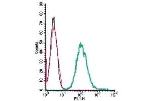 Cell surface detection of Neuropilin-1 by indirect flow cytometry in live intact mouse J774 macrophage cells:  (black line) Cells. (Neuropilin 1 antibody  (Extracellular, N-Term))
