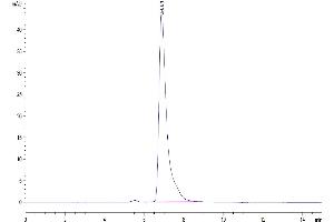 Size-exclusion chromatography-High Pressure Liquid Chromatography (SEC-HPLC) image for SLAM Family Member 6 (SLAMF6) (AA 22-226) protein (Fc Tag) (ABIN7275620)