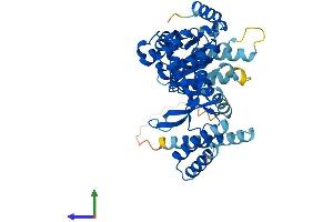 Protein Structure (PS) image for Vacuolar Protein Sorting-Associated Protein 4A (VPS4A) (AA 1-437) protein (His tag) (ABIN7555990)
