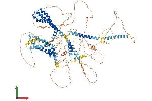 AlphaFold protein structure predicition of Human Recombinant KCNQ5 Protein, UniprotID Q9NR82