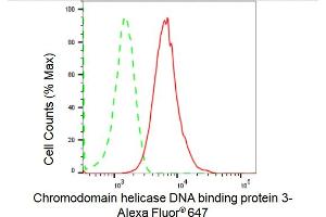 Flow cytometric analysis of Chromodomain helicase DNA binding protein 3 expression in HepG2 cells using Chromodomain helicase DNA binding protein 3 antibody (ABIN7798068), 1:2,000). (Recombinant CHD3 antibody)
