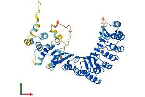 AlphaFold protein structure predicition of Human Recombinant PRAMEF6 Protein, UniprotID Q5VXH4 (PRAMEF6 Protein (AA 1-476) (His tag))