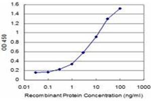 Detection limit for recombinant GST tagged ATP13A2 is approximately 0. (ATP13A2 antibody  (AA 68-154))