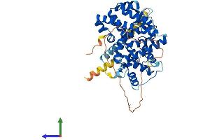 AlphaFold protein structure predicition of Human Recombinant RORB Protein, UniprotID Q92753 (RORB Protein (AA 1-470) (His tag))
