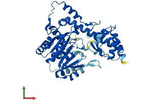 AlphaFold protein structure predicition of Mouse Recombinant Got1l1 Protein, UniprotID Q7TSV6