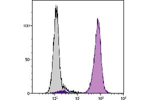 Human peripheral blood granulocytes were stained with Mouse Anti-Human CD16-PE. (CD16 antibody  (PE))