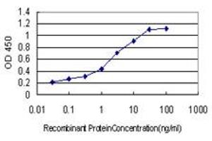 Detection limit for recombinant GST tagged LNX2 is approximately 0. (LNX2 antibody  (AA 1-100))