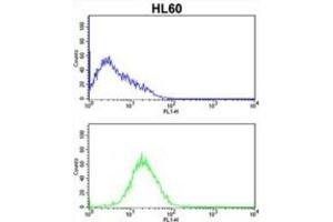 Flow Cytometry (FACS) image for anti-Caspase 2, Apoptosis-Related Cysteine Peptidase (CASP2) antibody (ABIN2997249) (Caspase 2 antibody)