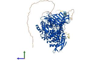 AlphaFold protein structure predicition of Human Recombinant LNPEP Protein, UniprotID Q9UIQ6 (LNPEP Protein (AA 1-1025) (His tag))